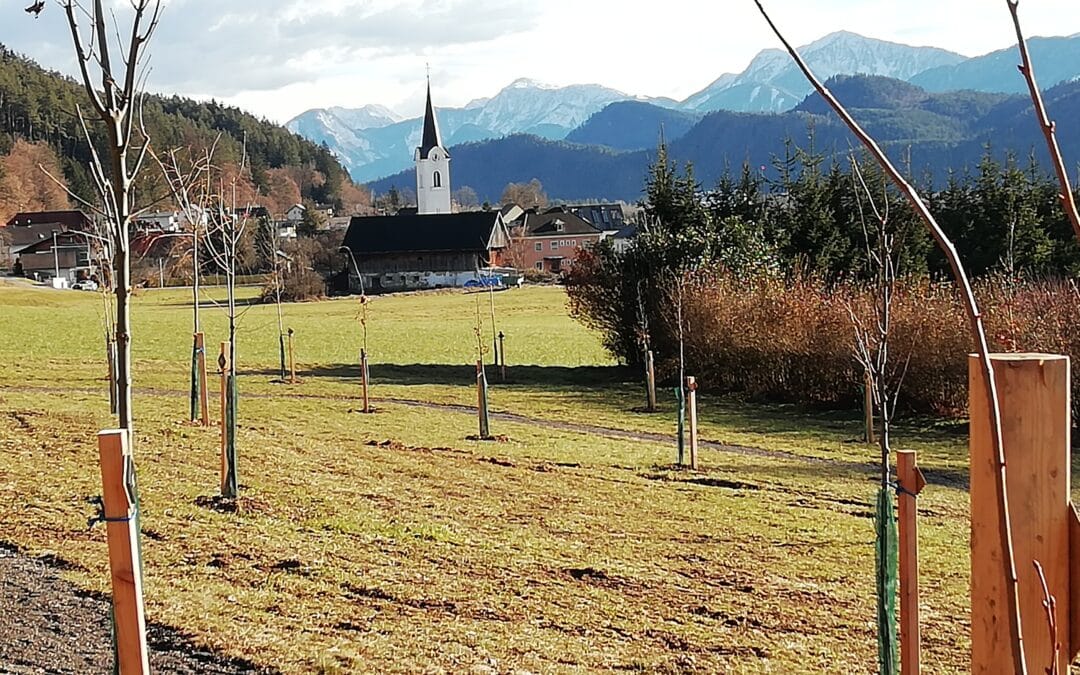 Einladung zur Eröffnung Friedensforstes in Gottestal/Wernberg