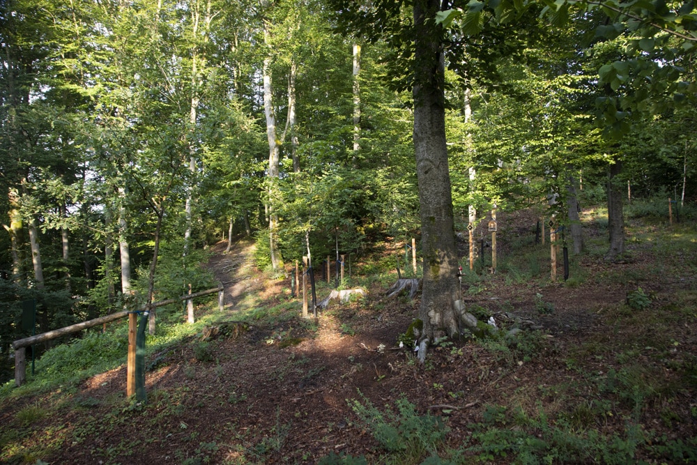 Einladung zur Eröffnung des Friedensforstes in Krumpendorf/Pirk