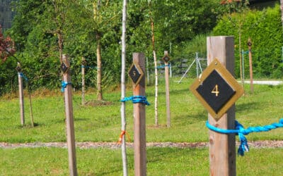 Einladung zur Eröffnung des Friedensforstes in Treffen am Ossiacher See